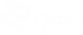 Pfizer logo